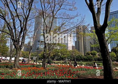 Les tulipes en fleur dans le parc Hibiya, Tokyo, Japon Banque D'Images