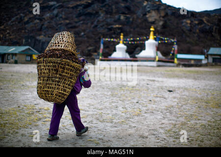 Un garçon transportant des fournitures dans un panier est saisie sur Tengboche la route vers le camp de base Everest, Himalaya, Népal Banque D'Images