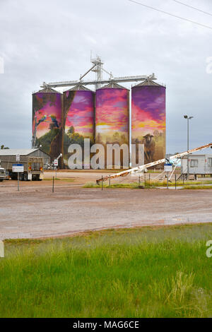 Les silos à Thallon dans le Queensland, l'Australie qui ont créé des murales sur eux comme une attraction touristique, représentant la région de la rivière moonie Banque D'Images