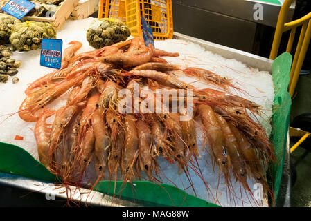 Crevettes fraîches en vente dans le marché couvert de la Boqueria près de La Rambla, Barcelone, Espagne. Banque D'Images