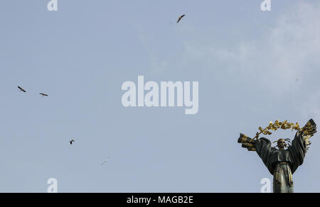 Kiev, Ukraine. 1er avril 2018. Une cigognes sont vus en vol autour de 62 mètres de haut monument de l'indépendance comme le premier ressort est chaud, à Kiev, Ukraine, le 1 avril 2018. Credit : Sergii Kharchenko/ZUMA/Alamy Fil Live News Banque D'Images