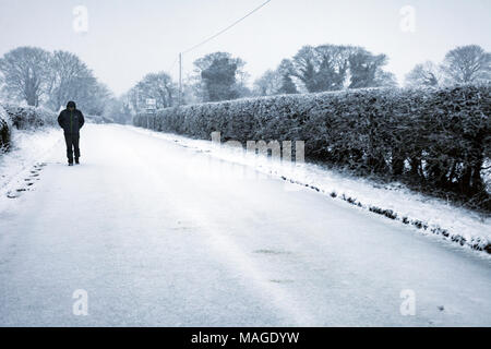 Flintshire, Pays de Galles, Royaume-Uni 2e avril 2018, UK Weather : un affouillement Easter Bank Holiday se termine par un agent d'alerte météorologiques rencontrés pour la pluie et la neige pour les vacances de banque lundi. Une personne qui marche le long d'une allée couverte de neige dans le village rural de Lixwm, Flintshire on a snowy Easter Bank Holiday Monday © DGDImages/Alamy Live News Banque D'Images