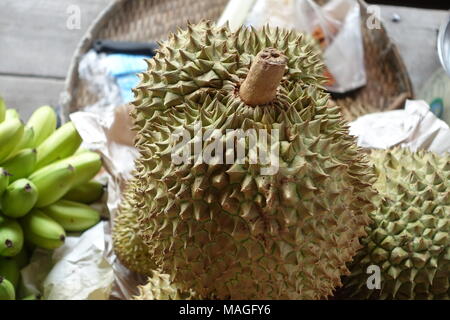 26 février 2018, Damnoen Saduak, Thaïlande : un durian dans un bateau prêt pour la vente dans le marché flottant de Damnoen Saduak. Le marché avec ses klongs (canaux) a plus de 100 ans. Photo : Alexandra Schuler/dpa Banque D'Images