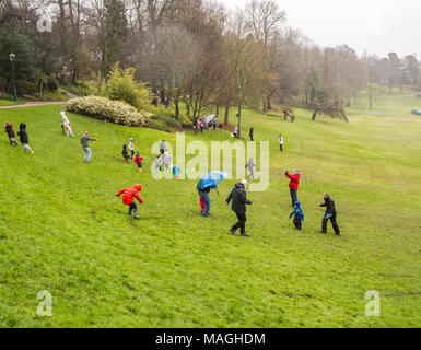 Avenham Park, Lancashire, Royaume-Uni, le 2 avril 2018. Oeuf de Pâques traditionnel dévalant la colline à Avenham Park, Preston sur un lundi de Pâques très humide, Preston, Lancashire, UK Crédit : Sue Burton/Alamy Live News Banque D'Images