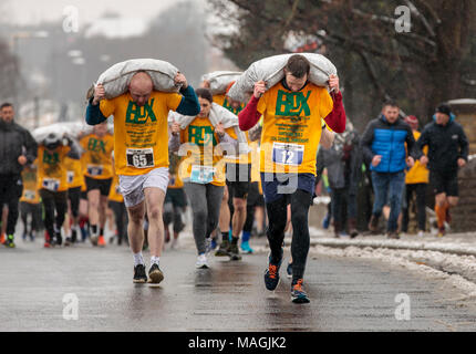 Gawthorpe, West Yorkshire, Royaume-Uni. Le 02 avril 2018. Les coureurs de premier plan dans la première des deux courses pour hommes. Championnats du monde de l'exécution du charbon ont lieu chaque année le lundi de Pâques, lorsque les concurrents, portent des sacs de charbon, de race sur une piste en montée 1012 m à travers l'ancien village minier près de Wakefield. Les concurrents masculins portent des sacs de 50kg et les femelles 20kg. Les femmes gagnant a été Danielle Sidebottom, Men's gagnant a été Andrew Corrigan. © Ian Wray/Alamy live news Banque D'Images