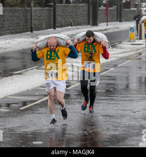 Gawthorpe, West Yorkshire, Royaume-Uni. Le 02 avril 2018. Les coureurs de premier plan dans la première des deux courses pour hommes. Championnats du monde de l'exécution du charbon ont lieu chaque année le lundi de Pâques, lorsque les concurrents, portent des sacs de charbon, de race sur une piste en montée 1012 m à travers l'ancien village minier près de Wakefield. Les concurrents masculins portent des sacs de 50kg et les femelles 20kg. Les femmes gagnant a été Danielle Sidebottom, Men's gagnant a été Andrew Corrigan. © Ian Wray/Alamy live news Banque D'Images