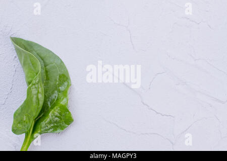 Feuilles de basilic vert, copiez l'espace. Vert feuille de basilic fraîche sur fond texturé, de l'espace texte. Avantages de la consommation de légumes verts. Banque D'Images