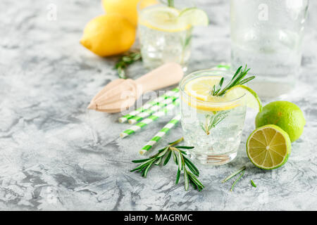 Boisson alcoolisée avec citron et rosemain, dans les verres sur une table lumineuse Banque D'Images