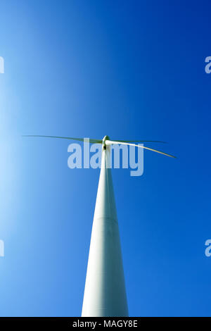Vue aérienne du champ de riz avec une éoliennes sur une journée ensoleillée, Tan Hai, Phan Rang, Ninh Thuan, Vietnam. Concept d'énergie propre Banque D'Images