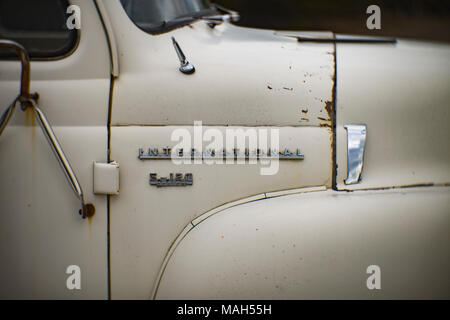 Détail : l 'International chromé S-120 Series' logo sur le côté d'une série S 1956 camionnette,près de Noxon, Montana. Banque D'Images