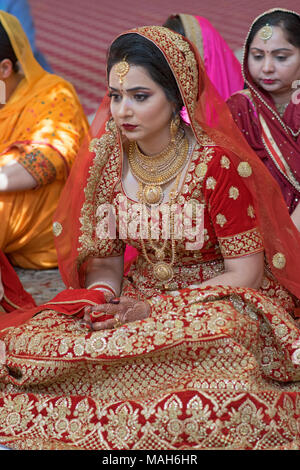 Une belle femme sikh assis lors de sa cérémonie de mariage à la Gurdwara Sikh Cultural Society à Richmond Hill, Queens, New York. Banque D'Images