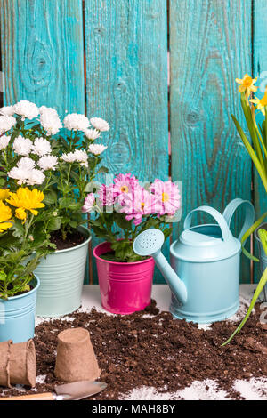 Photo de fleurs en pots près de clôture en bois Banque D'Images