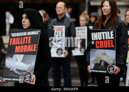 Défenseurs des droits des animaux protester contre la vivisection dans les laboratoires pharmaceutiques , Lyon, France Banque D'Images