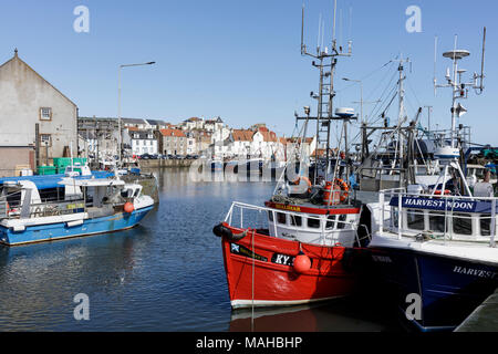 Les chalutiers de pêche dans le port de Pittenweem lors d'une journée ensoleillée Banque D'Images