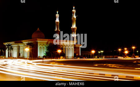 Mosquée de Emirats Arabes Unis Banque D'Images