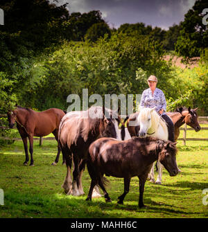 Sun Tui avec des chevaux dans des enclos au centre de thérapie de qualifications IFEAL à Withyham East Sussex. Banque D'Images