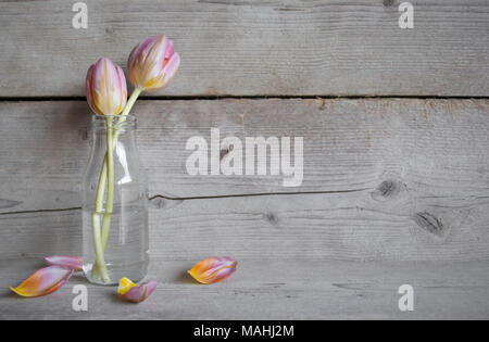 Tulipe rose en bouteille de verre, sur fond de bois vieux de pétales Banque D'Images