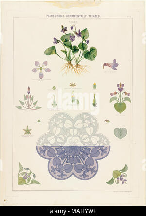 Nom de fichier : 07  11 001016 Titre : Plant-Forms Ornamentally traités - Violet Créateur/Contributeur : Carter, Grace (artiste) ; L. Prang & Co. (éditeur) Date de publication : 1874 description physique remarque : Genre : Chromolithographs ; still life imprime ; Illustrations Lieu : Bibliothèque publique de Boston, le 2011-08-05 : caméra Sinar Sinarback 54 : AG FW, Sinar m Banque D'Images