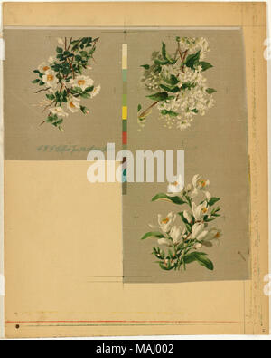 Nom de fichier : 07  001073 11 Cartes Titre : no 897 [trois] dessins floraux Créateur/Contributeur : L. Prang & Co. (éditeur) Date de publication : 1861-1897 (environ) description physique remarque : imprimés sur soie Genre : Chromolithographs ; still life imprime Lieu : Bibliothèque publique de Boston, le 2011-08-05 : caméra Sinar Sinarback 54 : AG FW, Sinar m Banque D'Images