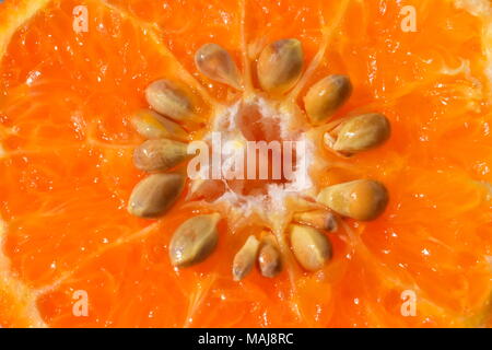 La moitié des mûres agrumes orange. Banque D'Images