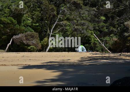 Tente solitaire au milieu de la jungle avec plage abandonnée en arrière-plan Banque D'Images