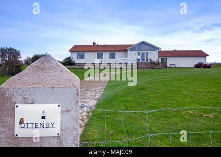 Ottenby Fågelstation / Bird Observatory dans la recherche sur les oiseaux et la sonnerie d'oiseaux migrateurs dans le sud d'Öland / Oeland, Suède Banque D'Images