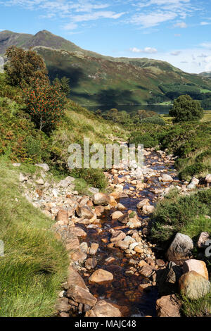 Vue d'été d'échelle Beck menant à Crummock Water et ses environs fells, Lake District, Cumbria, England, UK Banque D'Images