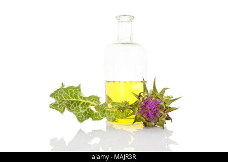 L'huile de chardon de lait sain dans le flacon en verre isolé sur fond blanc. Healty plante médicinale. Banque D'Images