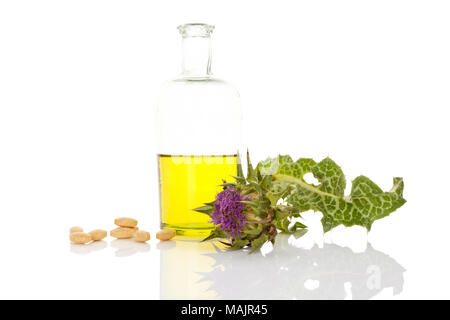 L'huile de chardon de lait avec l'extrait de fleur de chardon de lait et compléter comprimés isolé sur fond blanc. Banque D'Images