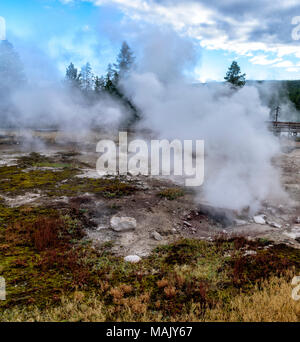 De la vapeur chaude et de gaz s'élève hors de la terre dans l'élimination de pierres et de gazon mort dans le Yellowstone. Banque D'Images