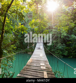 Pont sur la rivière dans la forêt paisible à Belize Banque D'Images