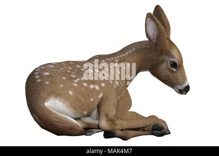 Red Deer / bébé faon isolé sur blanc, 3D render Banque D'Images