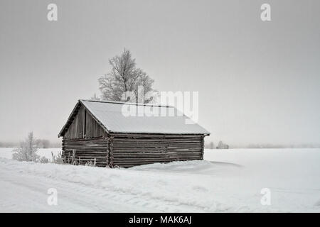 Une vieille grange chambre s'droit par la route qui mène à travers les champs de neige dans le Nord de la Finlande. Banque D'Images