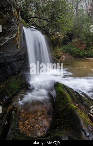 Raper Creek Falls est situé au nord de la Géorgie dans le comté de Habersham. Les chutes sont à environ 15 m de hauteur et unique dans l'aspect que le flux est en cours d'exécution sur un plateau rock diagonale avant de tomber dans la piscine ci-dessous. Banque D'Images