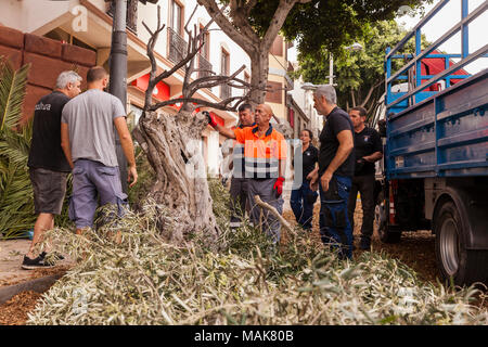 Mise en scène en cours de préparation pour l'assemblée annuelle de la passion du Vendredi Saint dans la Rue Grande, Adeje, Tenerife, Canaries, Espagne Banque D'Images