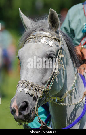 Les membres du groupe arabe afficher 'cavalerie Royale d'Oman' ride dans de magnifiques robes lors de la grande manifestation de cheval Cheval 'International' à Munich. Banque D'Images