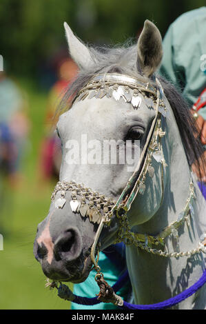 Les membres du groupe arabe afficher 'cavalerie Royale d'Oman' ride dans de magnifiques robes lors de la grande manifestation de cheval Cheval 'International' à Munich. Banque D'Images