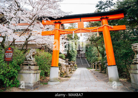 Kyoto, Japon - 3 Avril 2016 : journée de printemps au sanctuaire Ujigami Banque D'Images