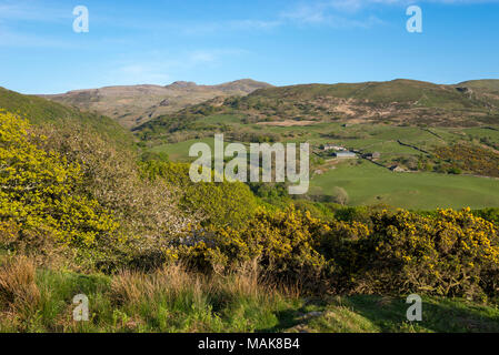 Les collines près de Snowdonia en Harlech sur une journée de printemps ensoleillée. Vue vers le Rhinogs de Llandecwyn. Banque D'Images