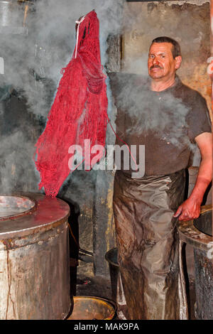 Maroc Marrakech place JEMAA EL FNA MEDINA LAINE SOUK DYER HOLDING écheveaux de laine teints en rouge À PARTIR DE LA VAPEUR CHAUDE TVA Banque D'Images