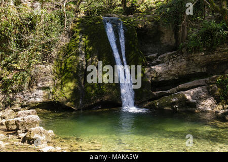 Janet's Falls Cascade Foss sur une corniche calcaire dans une piscine sur Gordale Beck en été. Malham Yorkshire Dales National Park England UK Banque D'Images