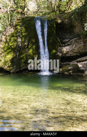 Janet's Falls Cascade Foss sur une corniche calcaire dans une piscine sur Gordale Beck en été. Malham Yorkshire Dales National Park England UK Banque D'Images