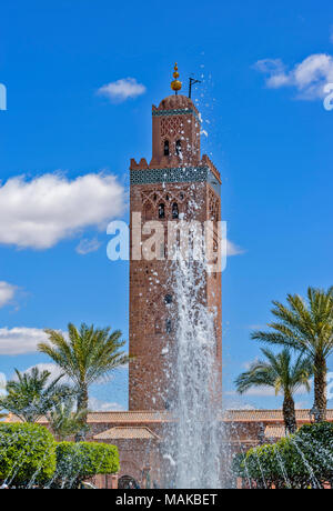 Maroc Marrakech LA KOUTOUBIA LES PALMIERS ET DES FONTAINES DANS LES JARDINS DE LA KOUTOUBIA Banque D'Images