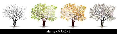Saisons de vecteur d'arbres Illustration de Vecteur