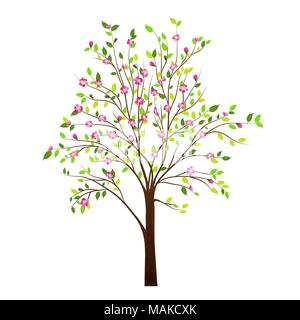 Arbre de printemps avec des fleurs isolé sur fond blanc vector Illustration de Vecteur