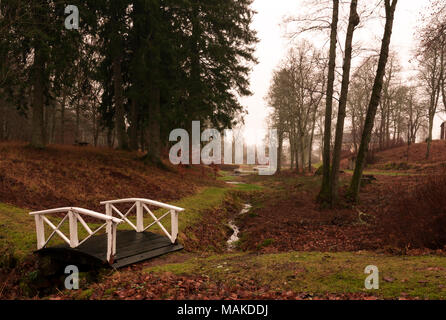 Un petit pont au-dessus d'un ruisseau dans la forêt suédoise. Banque D'Images