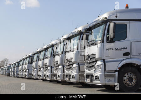 BURG / ALLEMAGNE - 11 juin 2017 : l'allemand Mercedes Benz Actros camions de l'entreprise de transport est Neumann dans une rangée. Banque D'Images