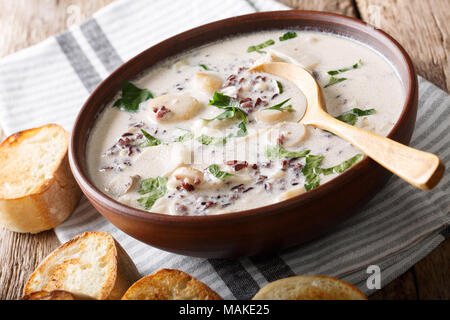 Soupe crémeuse maison de riz sauvage aux cèpes et légumes close-up horizontale dans un bol. Banque D'Images