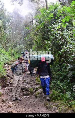 Climber et Porter Banque D'Images