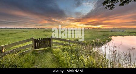 Vue panoramique de la porte en paysage agricole de la campagne néerlandaise dans groningen Pays-Bas Banque D'Images